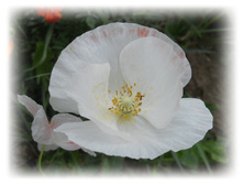 DSCN5163.JPG