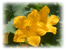 DSCN5168.JPG