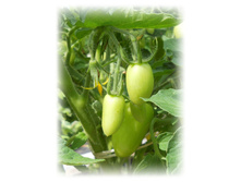DSCN5172.JPG