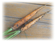 DSCN5185.JPG