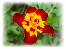 DSCN5187.JPG