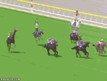 funny-gif-Japan-horse-race-1.gif