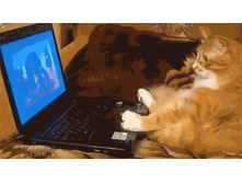 JXmH2.gif
