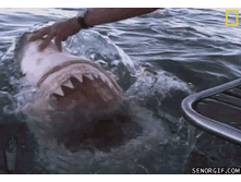 6de46f046574.gif