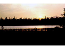 08.03.2010 20:42:37