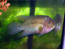 09.03.2010 8:58:31
