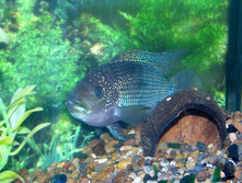 09.03.2010 8:58:32