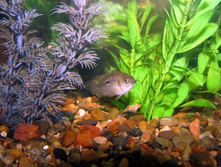 09.03.2010 8:58:40