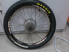DSC_0762.jpg