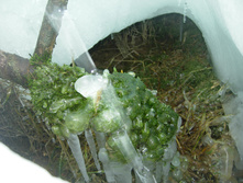 09.03.2010 21:46:37