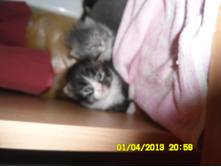 SAM_0504.JPG