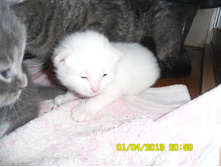 SAM_0505.JPG