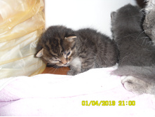 SAM_0506.JPG