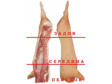 27.07.2012 11:50:33
