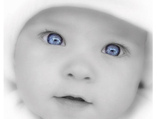 x_0a333f89.jpg