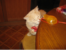 11.03.2010 21:09:28