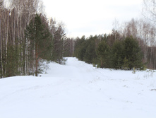 13.03.2010 19:01:53