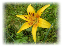 DSCN5206.JPG
