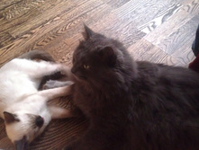 IMAG0027.jpg