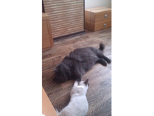 IMAG0031.jpg