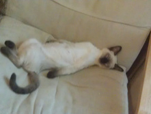 IMAG0037.jpg