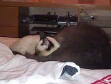 IMAG0126.jpg