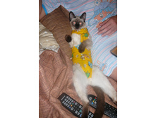 P1140394.JPG