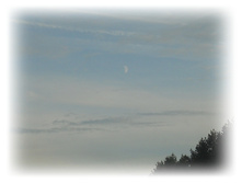 DSCN5217.JPG