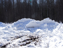DSCF1664.JPG
