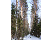 DSCF1672.JPG