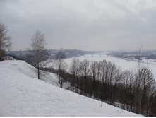 DSC08275.JPG