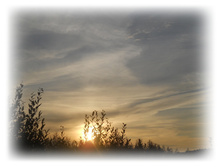 DSCN5234.JPG