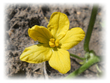 DSCN5240.JPG