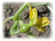 DSCN5241.JPG