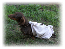 DSCN5255.JPG