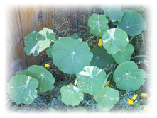 DSCN5259.JPG