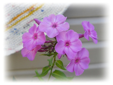 DSCN5261.JPG