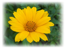 DSCN5264.JPG