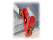 DSCN5290.JPG