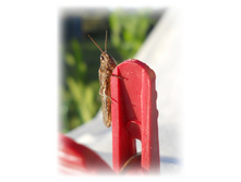 DSCN5292.JPG