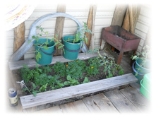 DSCN5296.JPG
