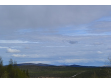 DSC_0201.JPG