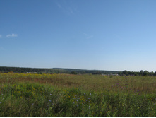 2012-07-28_08-31-40.jpg