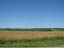 2012-07-28_08-53-16.jpg