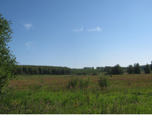 2012-07-28_08-57-11.jpg