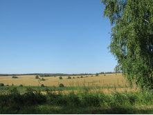 2012-07-28_09-06-25.jpg