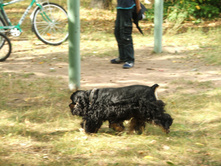 DSCF4680.JPG