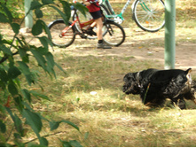 DSCF4681.JPG