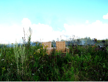 2012-07-28_10-41-01-edited.jpg