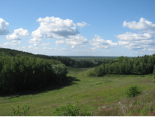 2012-07-28_10-45-27.jpg